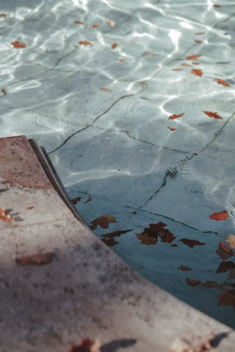 Fallen leaves floating in a swimming pool